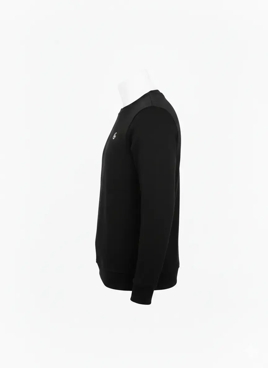 Alec Regular Sweatshirt, Siyah, görsel 3